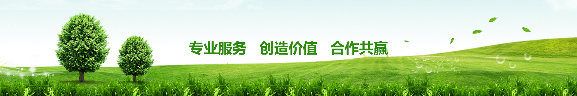 大型臭氧發生器