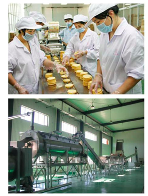 臭氧消毒殺菌設備 臭氧消毒殺菌設備